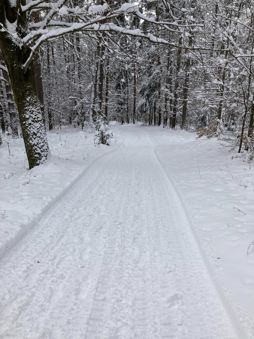 Trasy biegowe na Górze Parkowej w Krynicy to zimowa atrakcja, której chcieli turyści. Wielofunkcyjne trasy MTB mają służyć cały rok