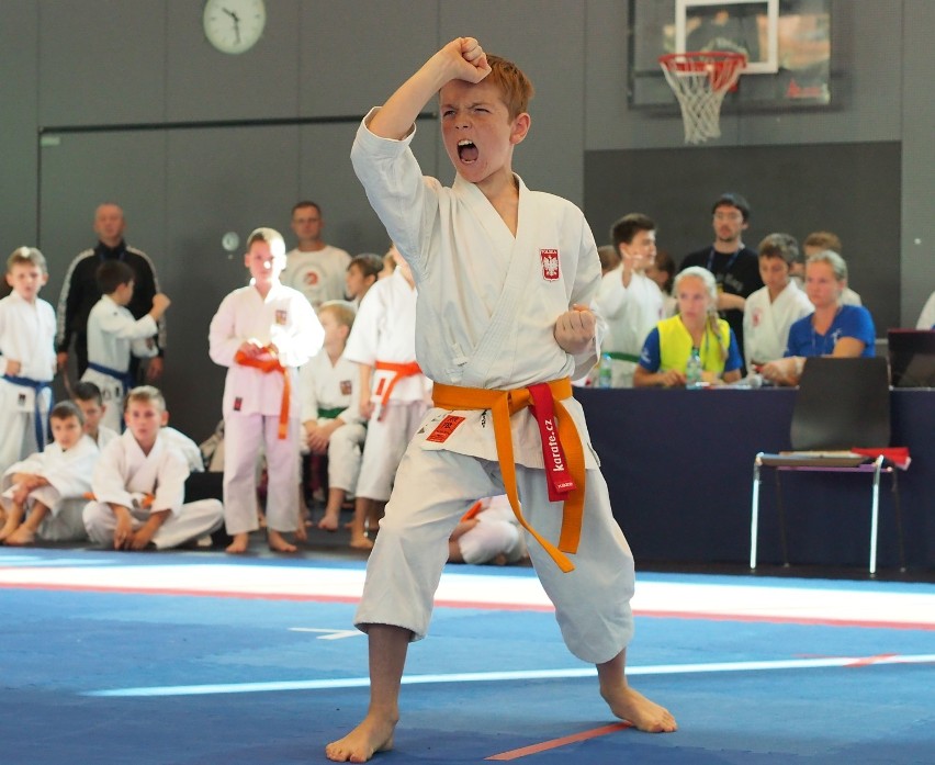 Puchar Świata Dzieci w Karate Tradycyjnym: Sukces krakowskich karateków w Szwajcarii [ZDJĘCIA]