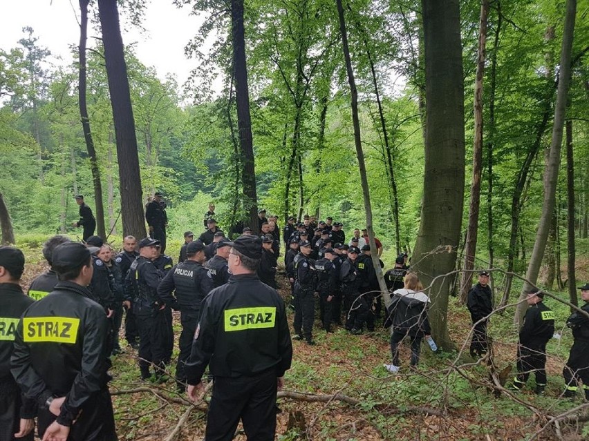 Tragiczny finał poszukiwań Dominika Wernikowskiego. Ciało mężczyzny odnaleziono w lesie w Bachowicach [ZDJĘCIA]