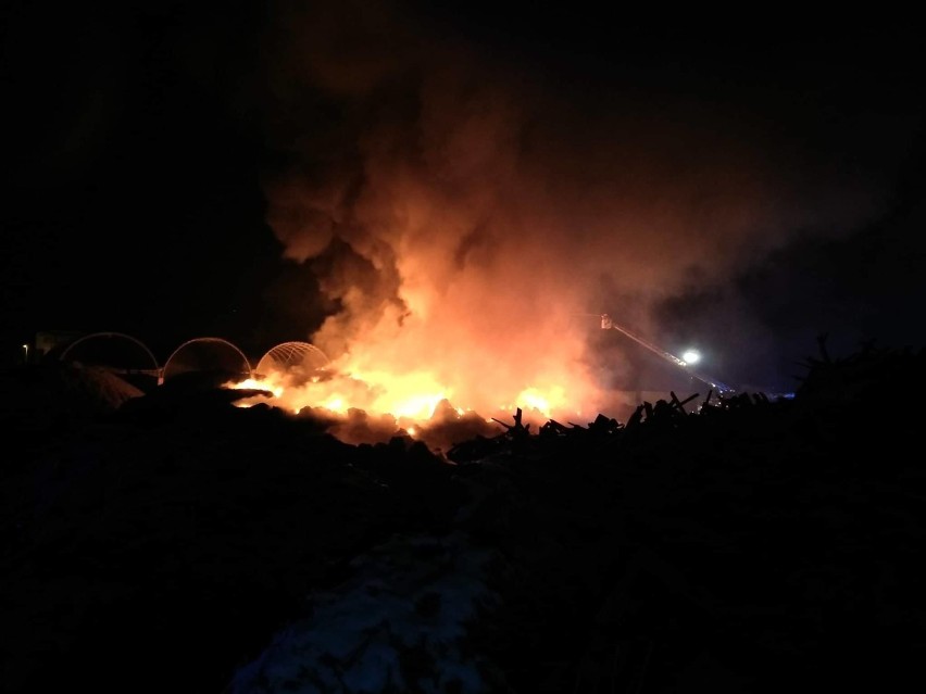Koniecpol: Pożar składowiska odpadów na terenie zakładu „Widrex”. Płonęły pryzmy biomasy