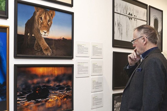 Otwarcie wystawy „Fotografia Dzikiej Przyrody 2013”, Galeria Bielska BWA