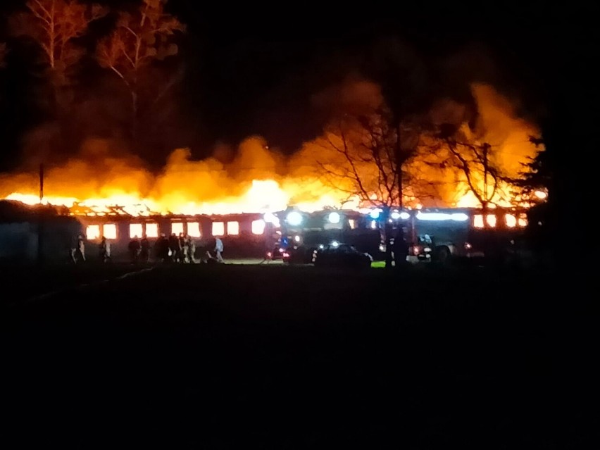 Gmina Witkowo. Nocny pożar budynku gospodarczego [FOTO]