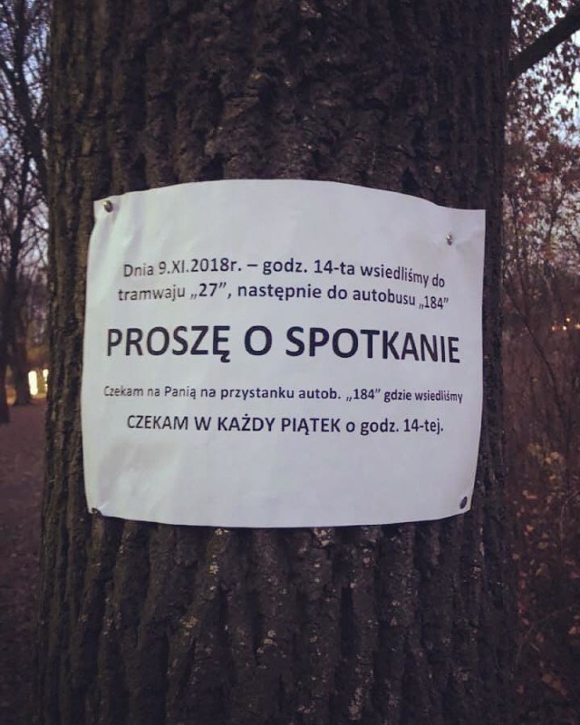 Zakochaj się w Warszawie? Nietypowa prośba zawisła na jednym z drzew