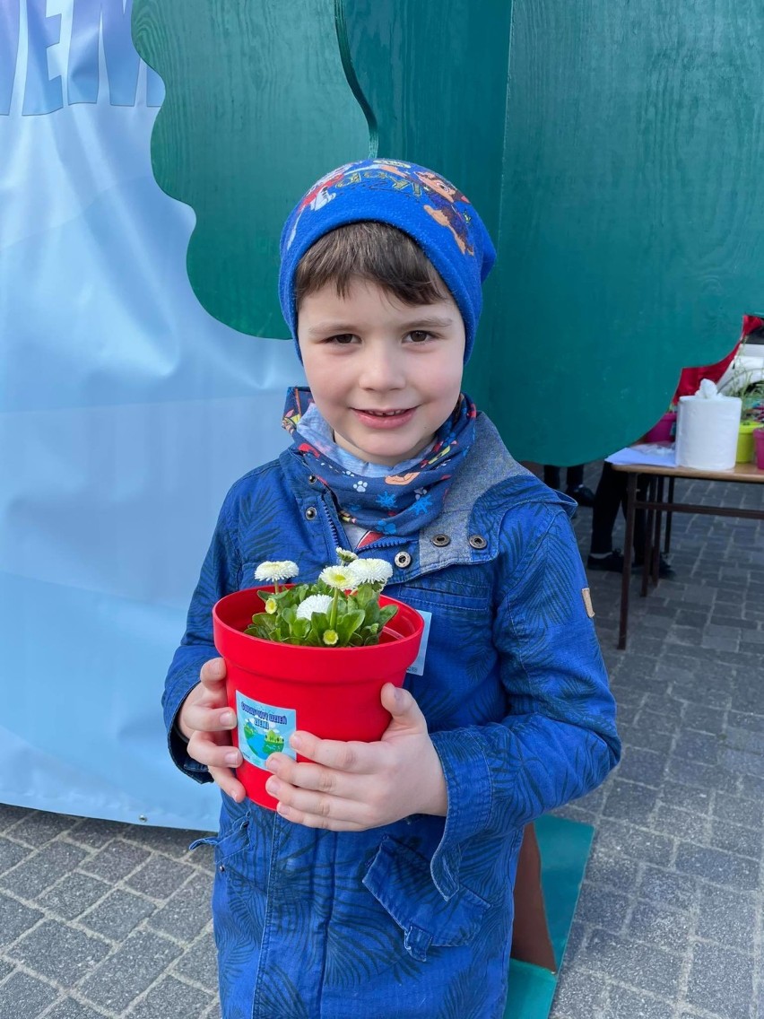 Z okazji Światowego Dnia Ziemi w Wieluniu rozdawano dziś dzieciom sadzonki kwiatów ZDJĘCIA