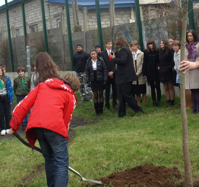 Młodzi ludzie zasadzili dęby przy Gimnazjum nr 3 w Sporyszu.