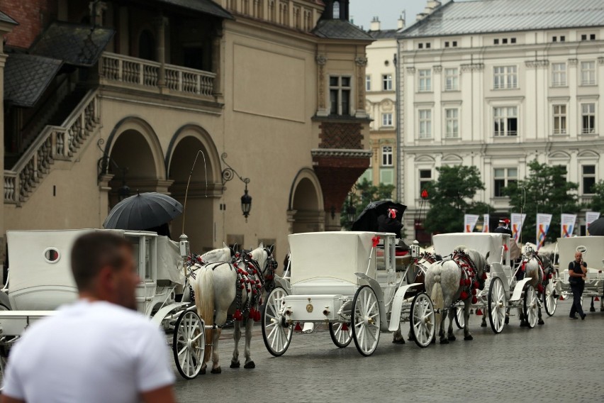 Dzielnica chce, by w sprawie dorożek wypowiedzieli się...