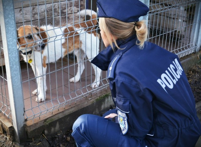 „Karma zamiast fajerwerków” to akcja wymyślona i organizowana przez funkcjonariuszy z Opola.