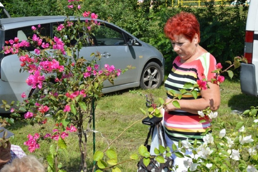 Święto Kwiatów w Karsznicach potrwa przez trzy dni! Jeszcze czeka na wystawców