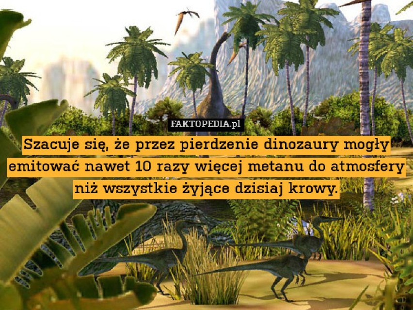 ZOBACZ TAKŻE: Dinozaury w Poznaniu - one tam są i będą!