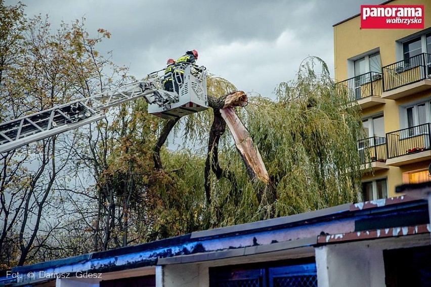 Strażacy usuwają nadłamane przez wichurę drzewo przy ulicy...