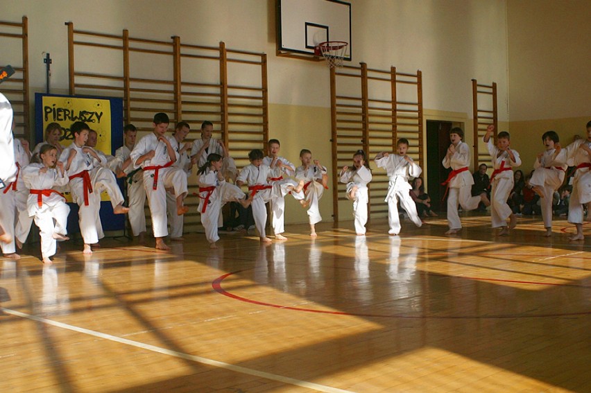 źródło: www.karate.limanowa.pl