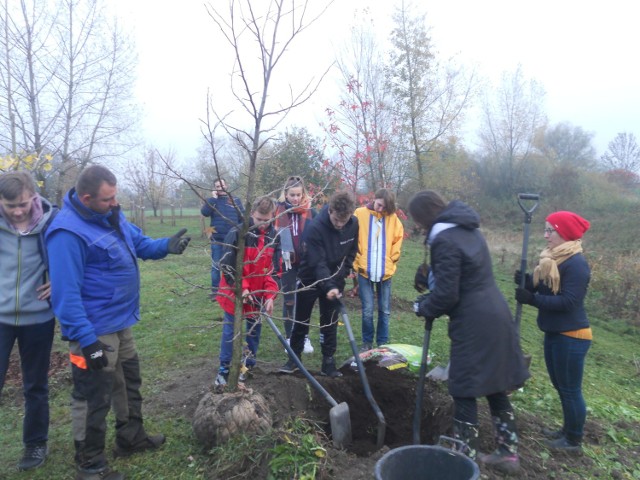 Nutricia i dzieci z Domu Dziecka w Tarnowie Opolskim posadzili drzewka na kąpielisku Bolko