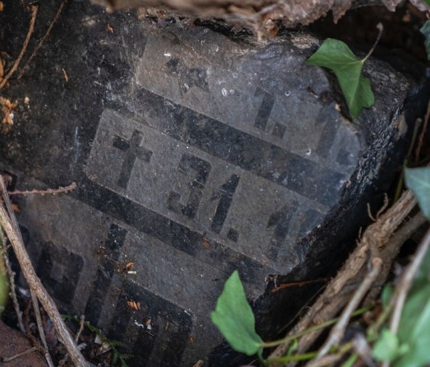 Na prywatnej posesji w Szczecinie znaleziono skradzione relikty z Wielkiej Wojny [ZDJĘCIA]