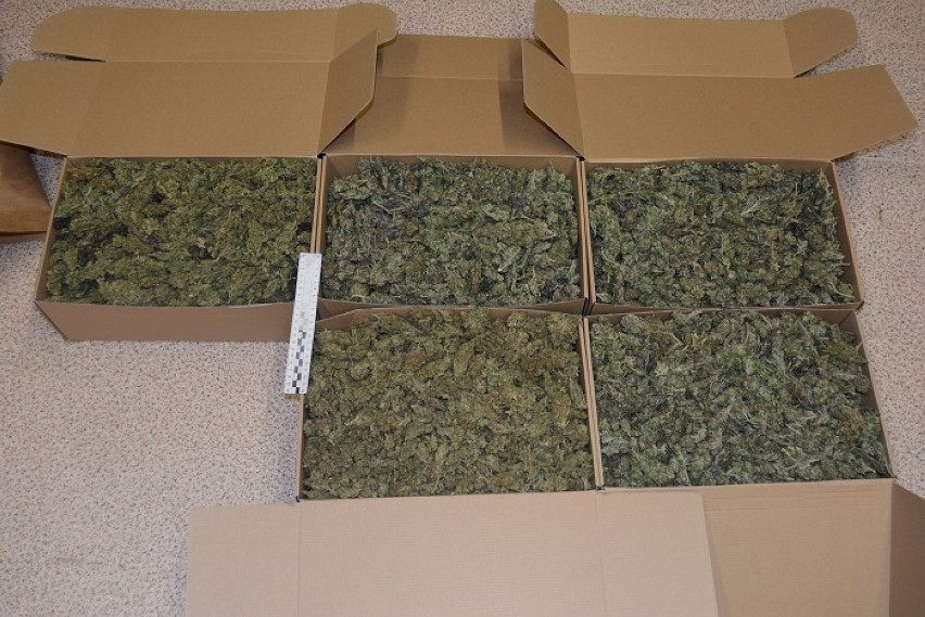 Policja w Szczecinku przejęła wielki transport marihuany o ogromnej wartości [zdjęcia]