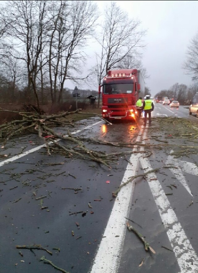 Drzewo spadło na samochód ciężarowy - ruch odbywa się wahadłowo (17.01.2022).