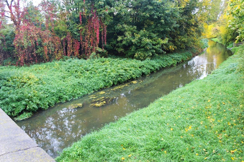 Most nad rzeką Ochnia w Kutnie