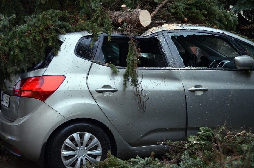 Głogów: Na Mechanicznej wiatr przewrócił drzewo na dwa samochody