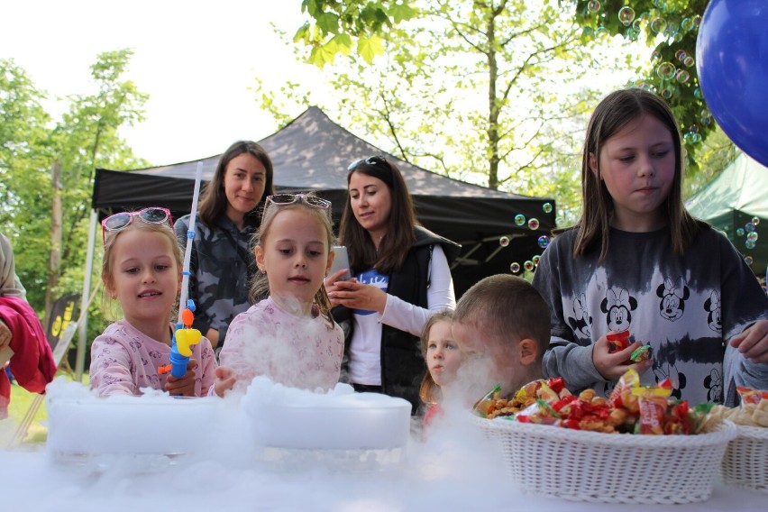 Piknik ekologiczny w Bełchatowie. Były m.in. targi...