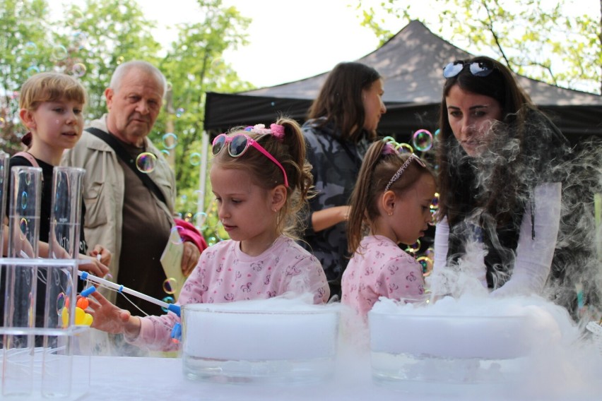 Piknik ekologiczny w Bełchatowie. Były m.in. targi...