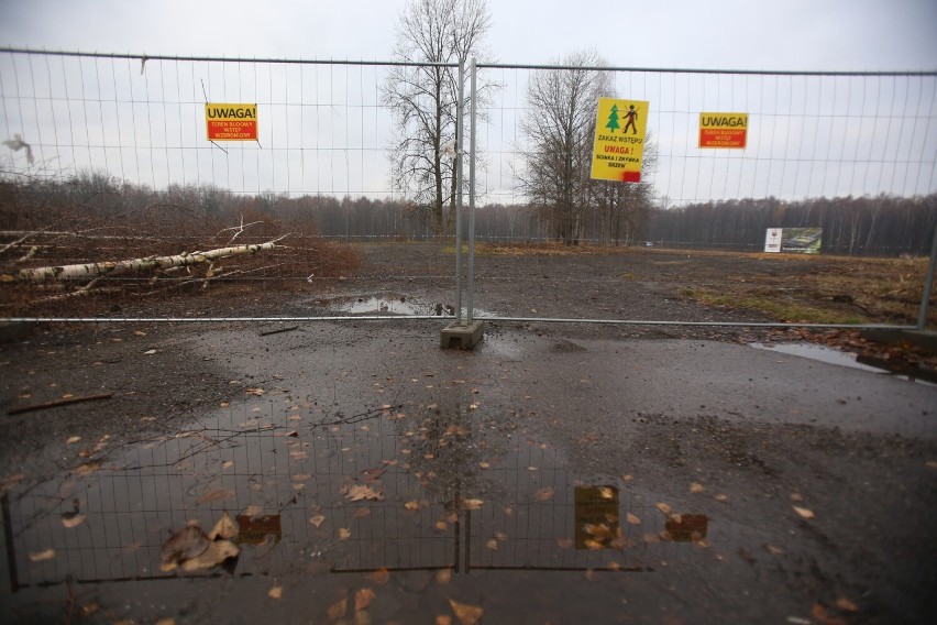 Na placu budowy nowego stadionu GKS Katowice, rozpoczęto wycinkę drzew - zobacz ZDJĘCIA