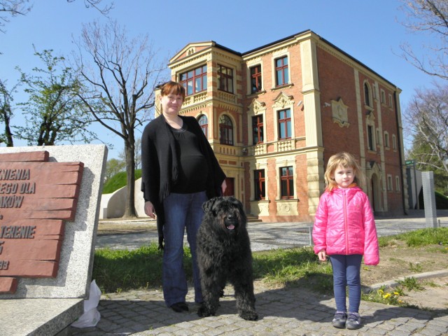 Muzeum kopiec Żory