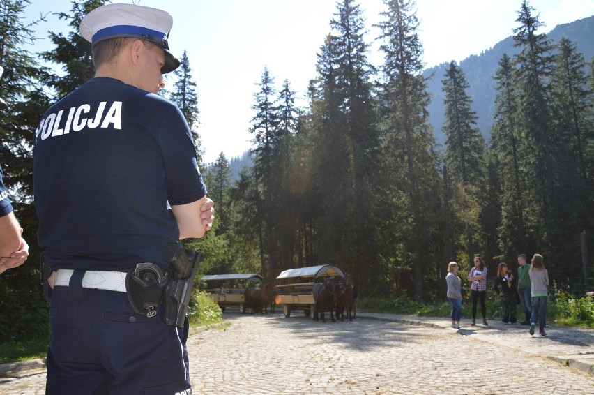 Tatry. Znów badają konie. Przy obstawie uzbrojonej policji [ZDJĘCIA, WIDEO]