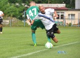 Cartusia - Chemik 1:1, Wierzyca - Przodkowo 1:7, Amator - Gryf 2:0 i inne wyniki