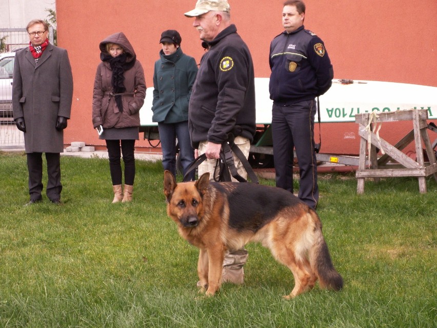 Szkolenie w Tarnowie Podgórnym. Każdy mógł się przekonać,...