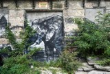 Kto ocali kamienicę z pięknym muralem w centrum Poznania? 