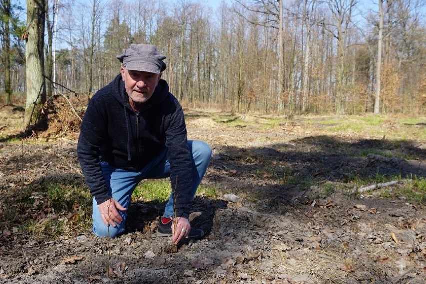 Jacek Bożek, prezes Klubu Gaja, zachęca do sadzenia roślin,...