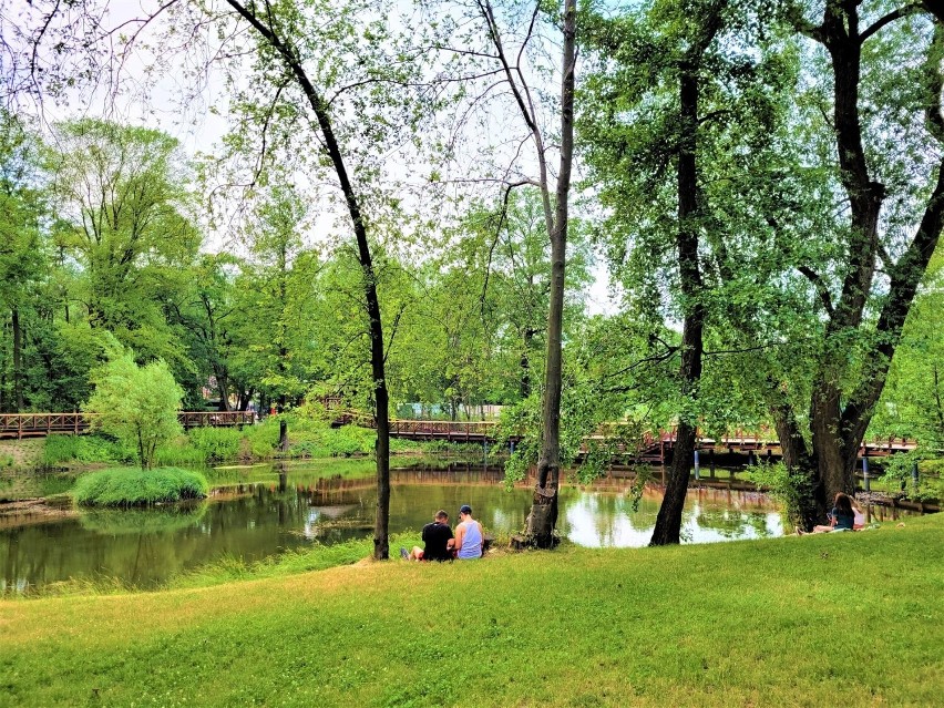 Kraków. Powiększy się urokliwy park na południu miasta