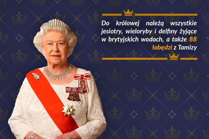 Królowa posiada także niemały inwentarz zwierząt.