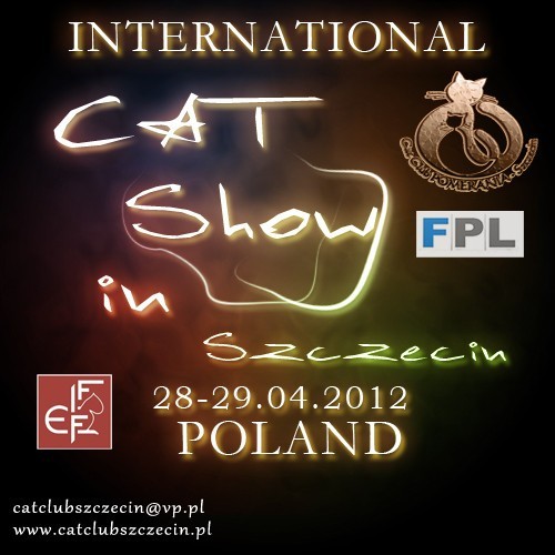 Międzynarodowa Wystawa Kotów Rasowych w Szczecinie. 28-29 kwietnia