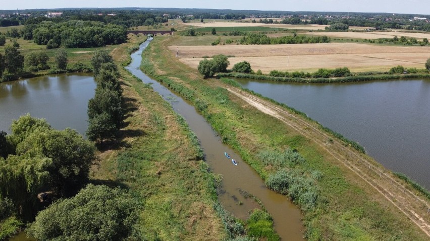 Za mało wody w rzece Barycz i niektórych stawach w Miliczu....