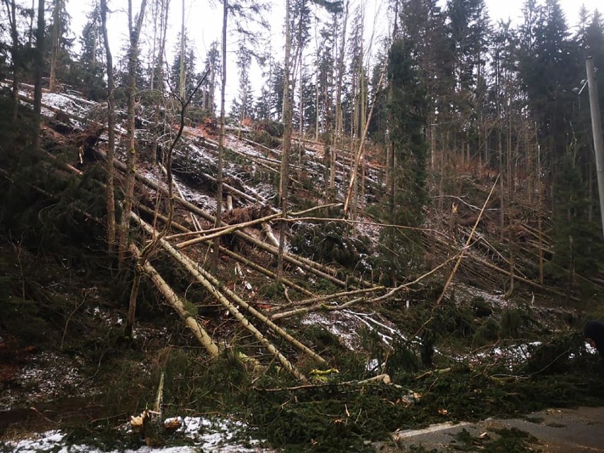 Ponad 90 interwencji strażaków po wichurze w powiecie kłodzkim 