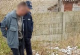 Zabójstwa psów na Mazowszu. Policja zatrzymała 39-latka podejrzanego o mordowanie zwierząt ze szczególnym okrucieństwem
