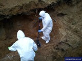 Makabryczne znalezisko w Stawigudzie. Policjanci znaleźli szczątki zamordowanego mężczyzny