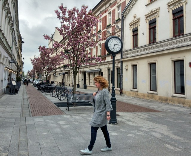 Woonerfy są wynalazkiem holenderskim. Pierwsze tego typu miejsca pojawiły się tam w latach 70. XX wieku