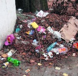 Razem posprzątajmy Trójmiasto: Zapomniane podwórko przy ul. Pestalozziego we Wrzeszczu