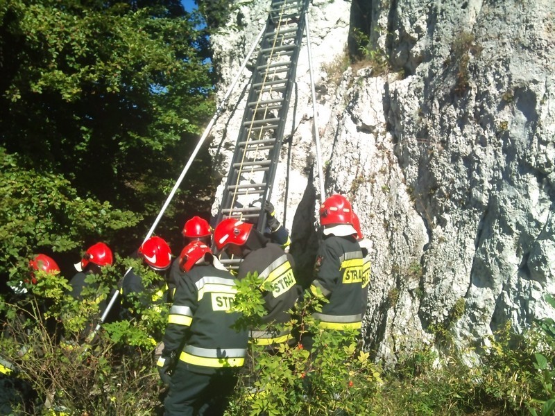 Ćwiczenia strażaków Ryczów
