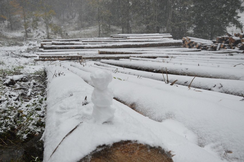 Pierwszy śnieg w Zakopane. W Tatrach lawinowa jedynka [ZDJĘCIA]