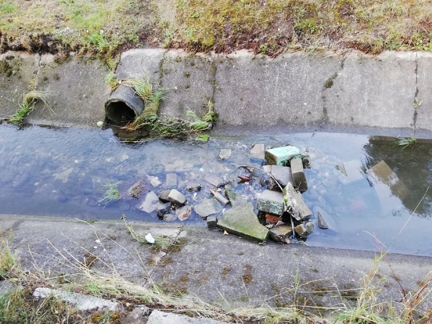 Kanał Witeradówka jest zarośnięty i zaśmiecony. Mieszkańcy nie pamiętają kiedy ostatnio był czyszczony