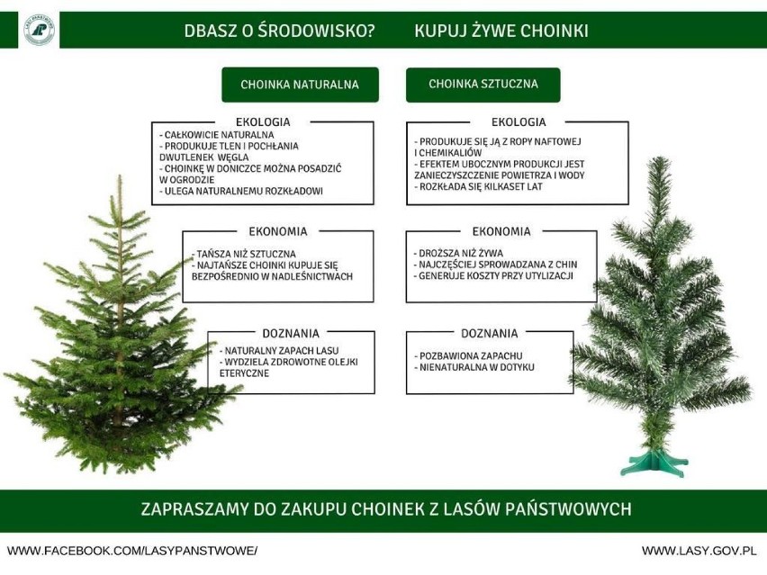 Boże Narodzenie 2019. Rusza „Choinkobranie” czyli przedświąteczna akcja Nadleśnictwa Gdańsk