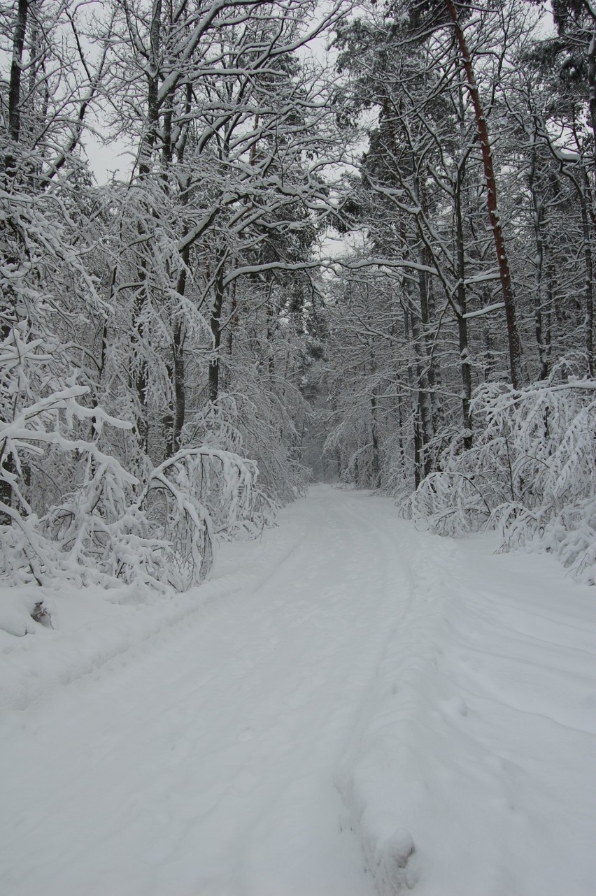 Zima pod Białą Górą 2011