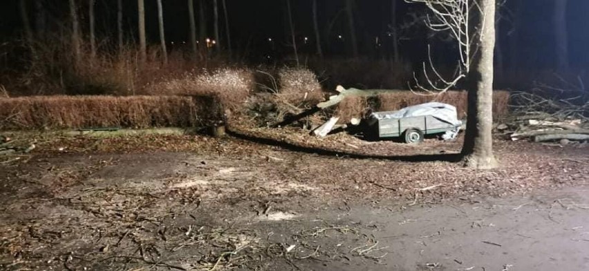 Wichura nad powiatem kołobrzeskim, padające drzewa, konary, latające płoty