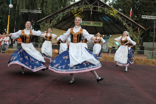 Za pieniądze z nagrody w GOK-u kupili już sprzęt sceniczny i barierki ochronne