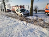 Powiat gnieźnieński. Wypadek w Kamieńcu. Auto uderzyło w drzewo