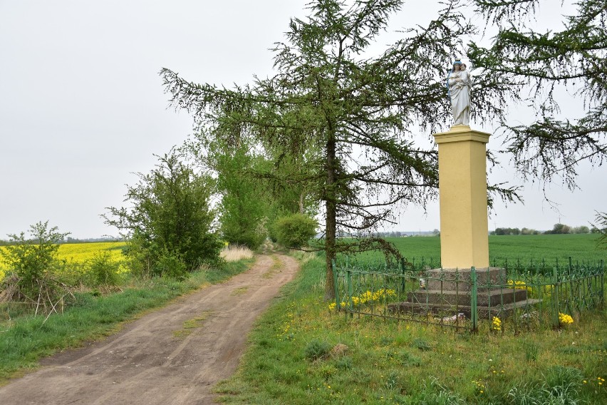 Majówka 2020 na Pałukach/ Gogółkowo