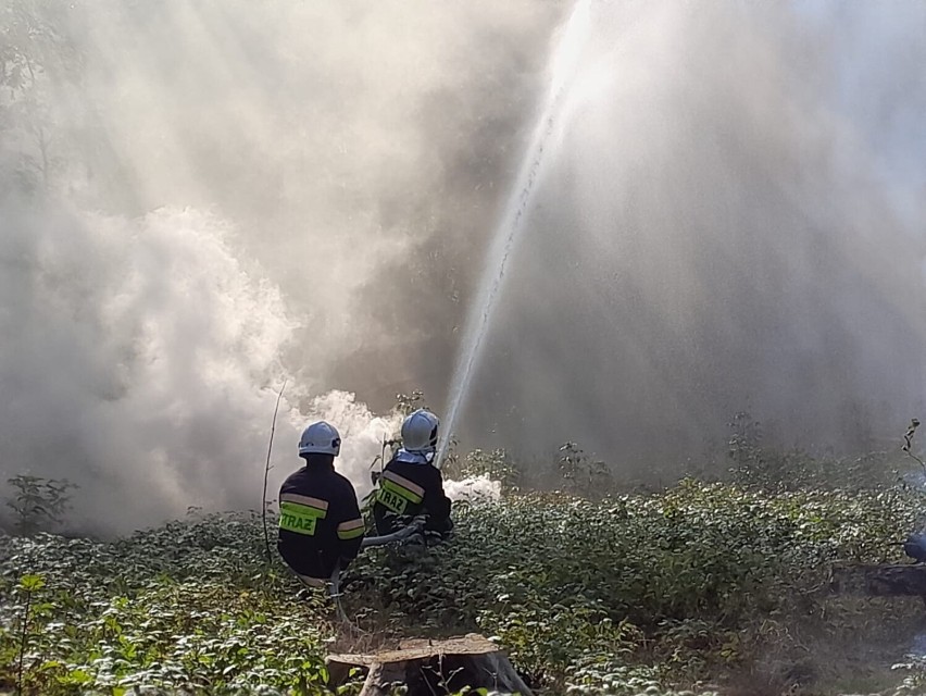Na terenie Leśnictwa Przewóz odbyły się ćwiczenia Jednostek Ochrony Przeciwpożarowej 