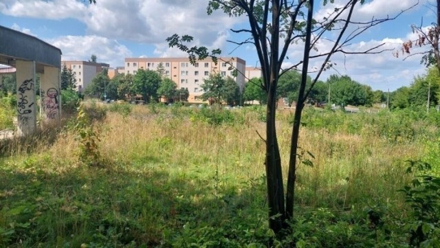 Na działce u zbiegu ulic Piastowskiej i Łokietka, po sąsiedzku ze szkołą podstawową będzie budowany blok z mieszkaniami komunalnymi. Urząd Miejskie wybiera wykonawcę prace.